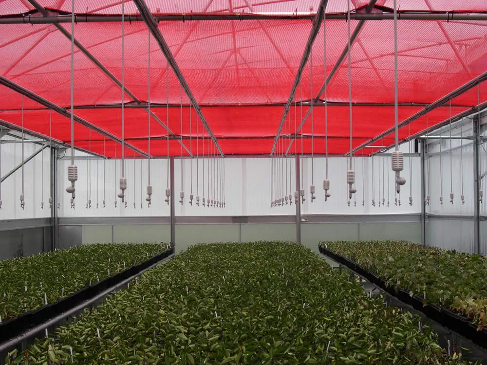 How to Use Shade Cloths for Plants