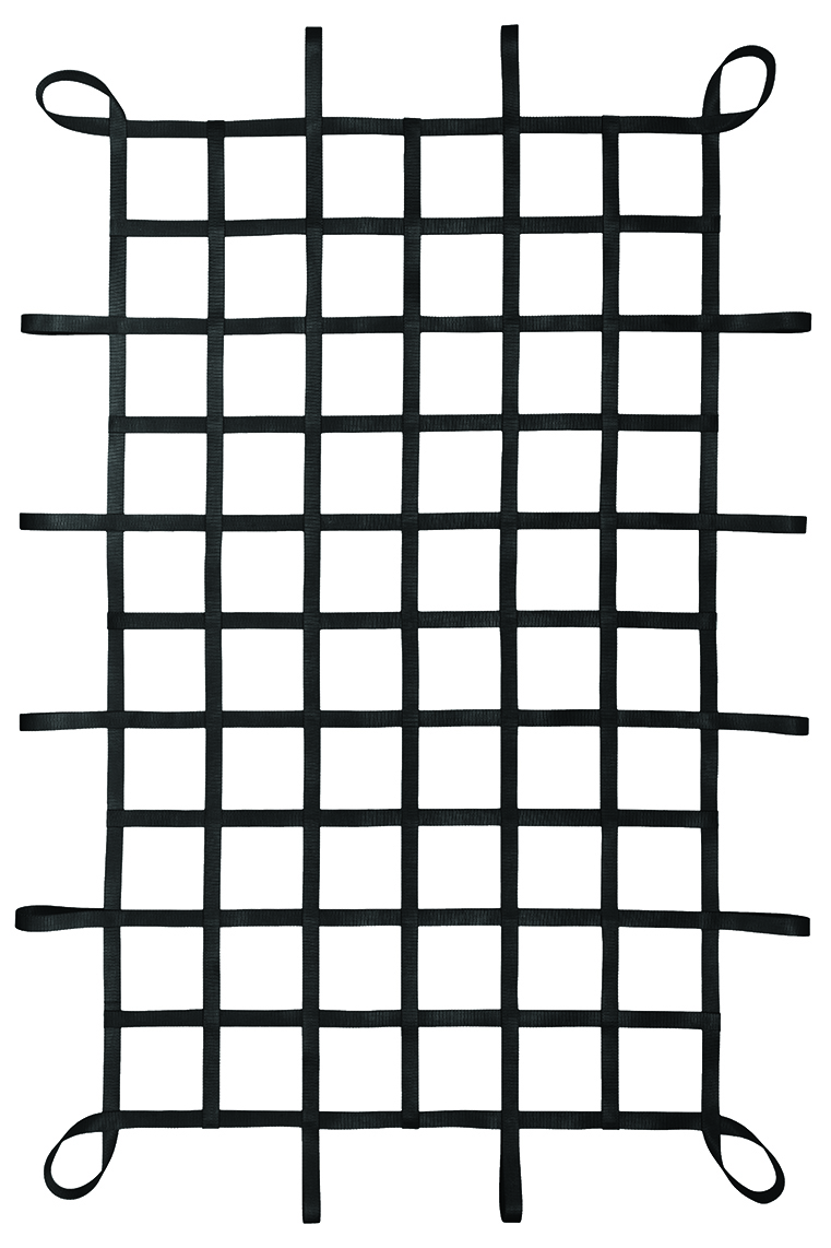 1" Webbing Cargo Net With Loops