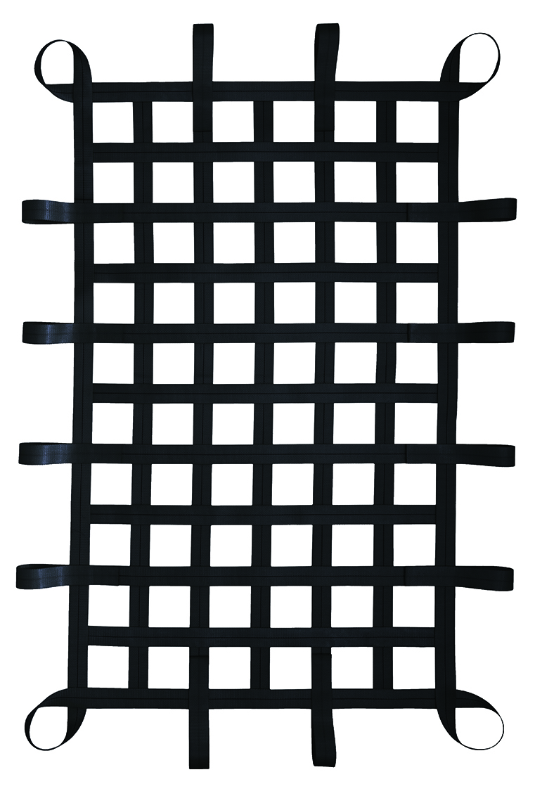 2" Webbing Cargo Net With Loops