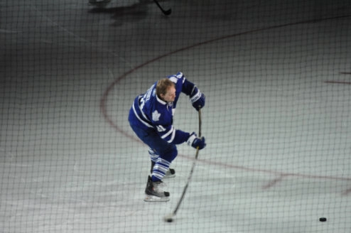 Hockey Arena Safety Netting