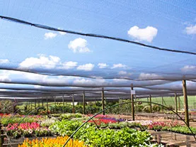 Shade cloth garden