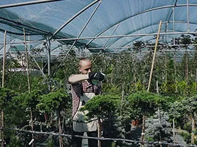 Shade cloth commercial installation