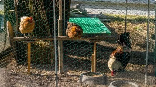 Netting used on a side of a boat
