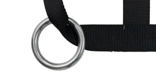 Rings attached to netting