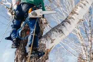 A rope tied around a cleat on the edge of a boat