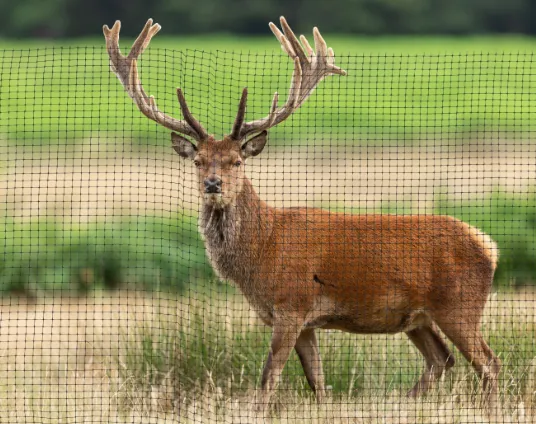Standard Duty Plastic Deer Fence