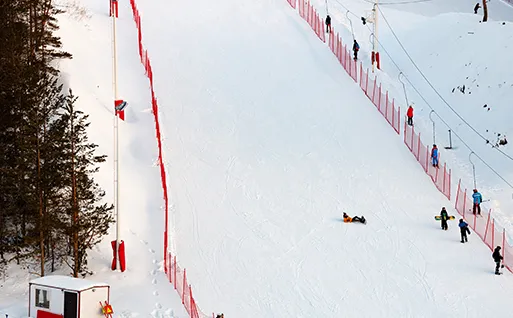 Crowd Control Safety Fence